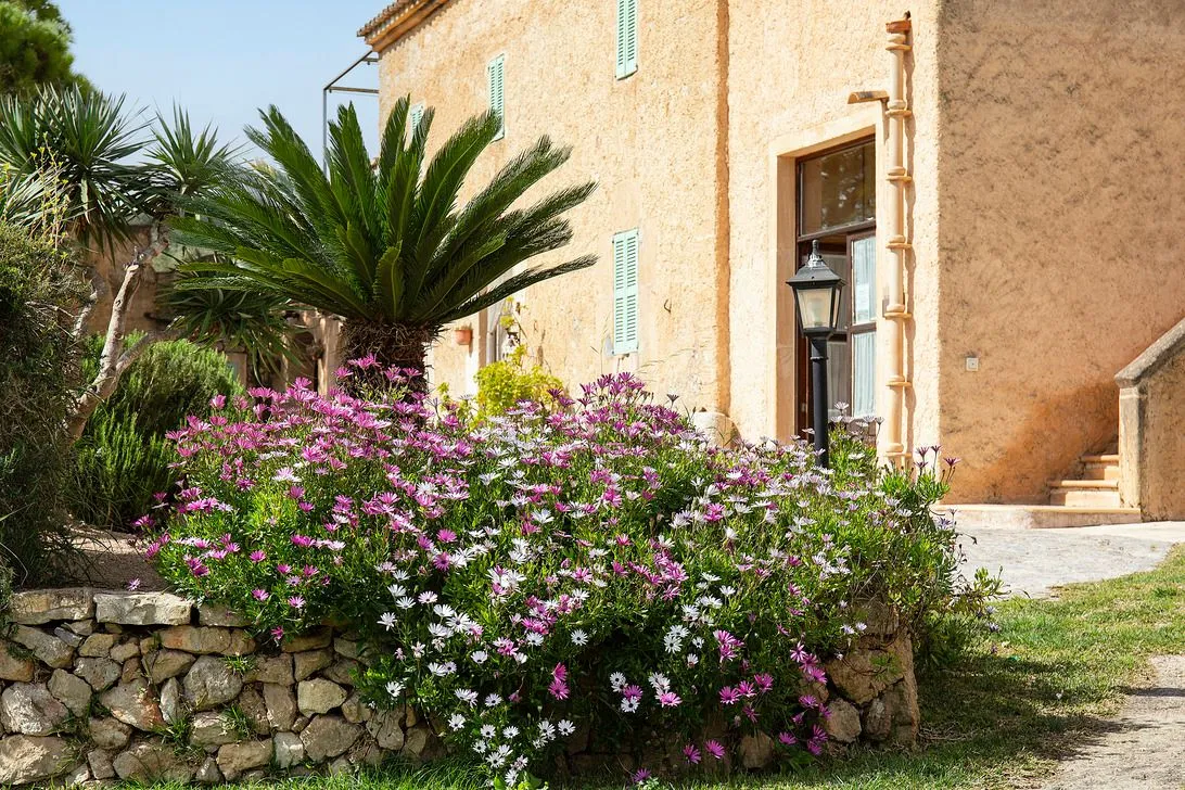 Flowers before the warm facade, the door and stone steps open