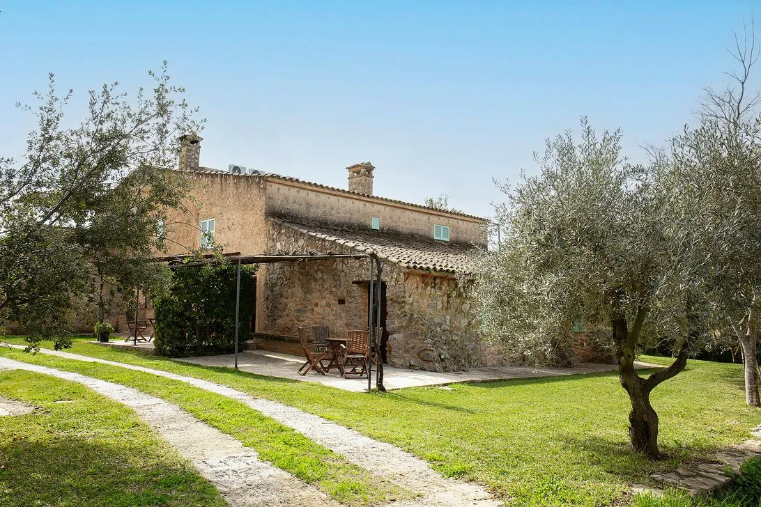 The stone house and a gravel path running between olive and citrus trees under a blue sky