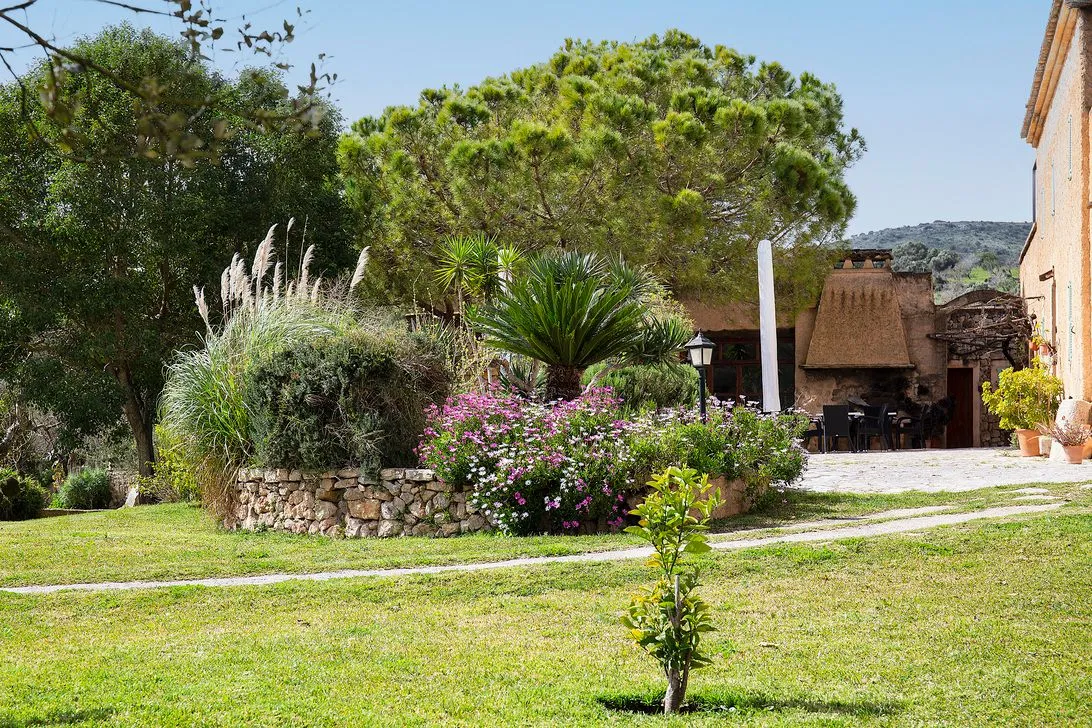 A lush garden bed against a low stone wall, pampas and oleander in bloom before the house