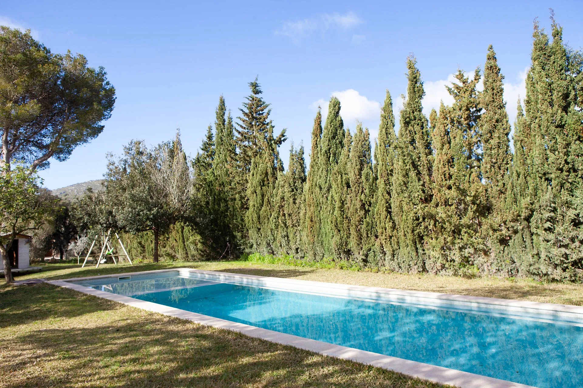 The long pool, blue and still, screened by a row of tall cypress trees on a clear day